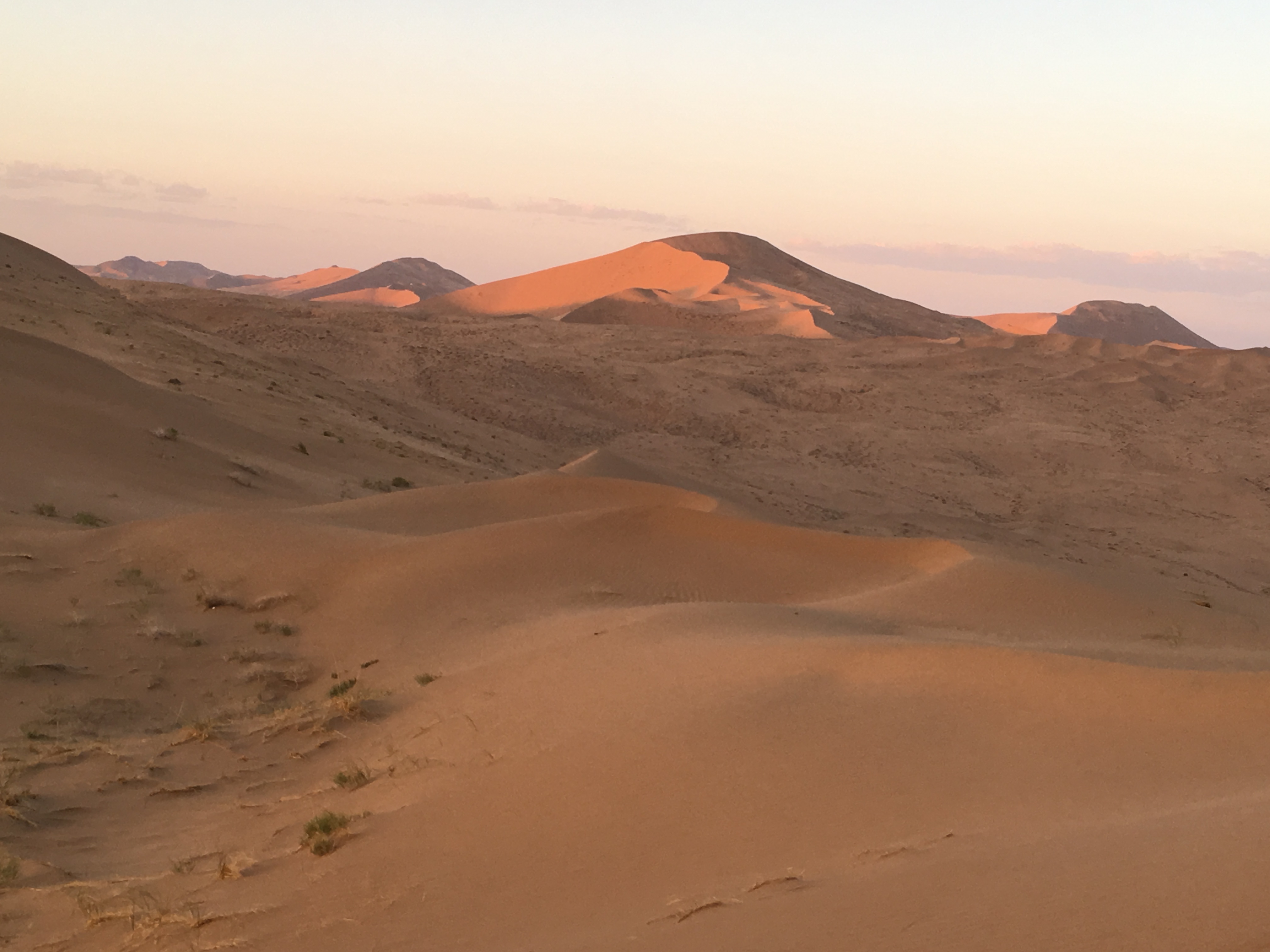 Gobi Wüste